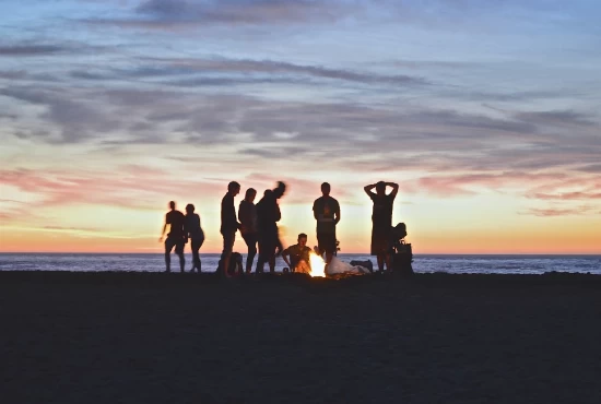 Unforgettable Attractions and Activities in South San Francisco