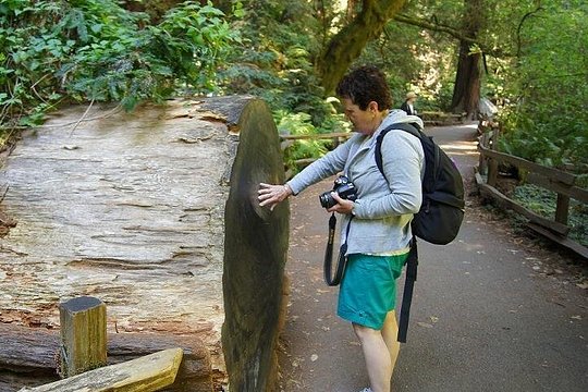 Tour image 4