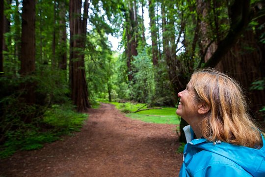 Tour image 7