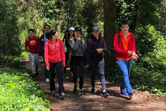 Tour image 7