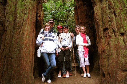 Tour image 11