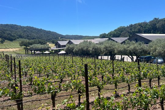 Tour image 6