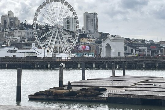 Tour image 4